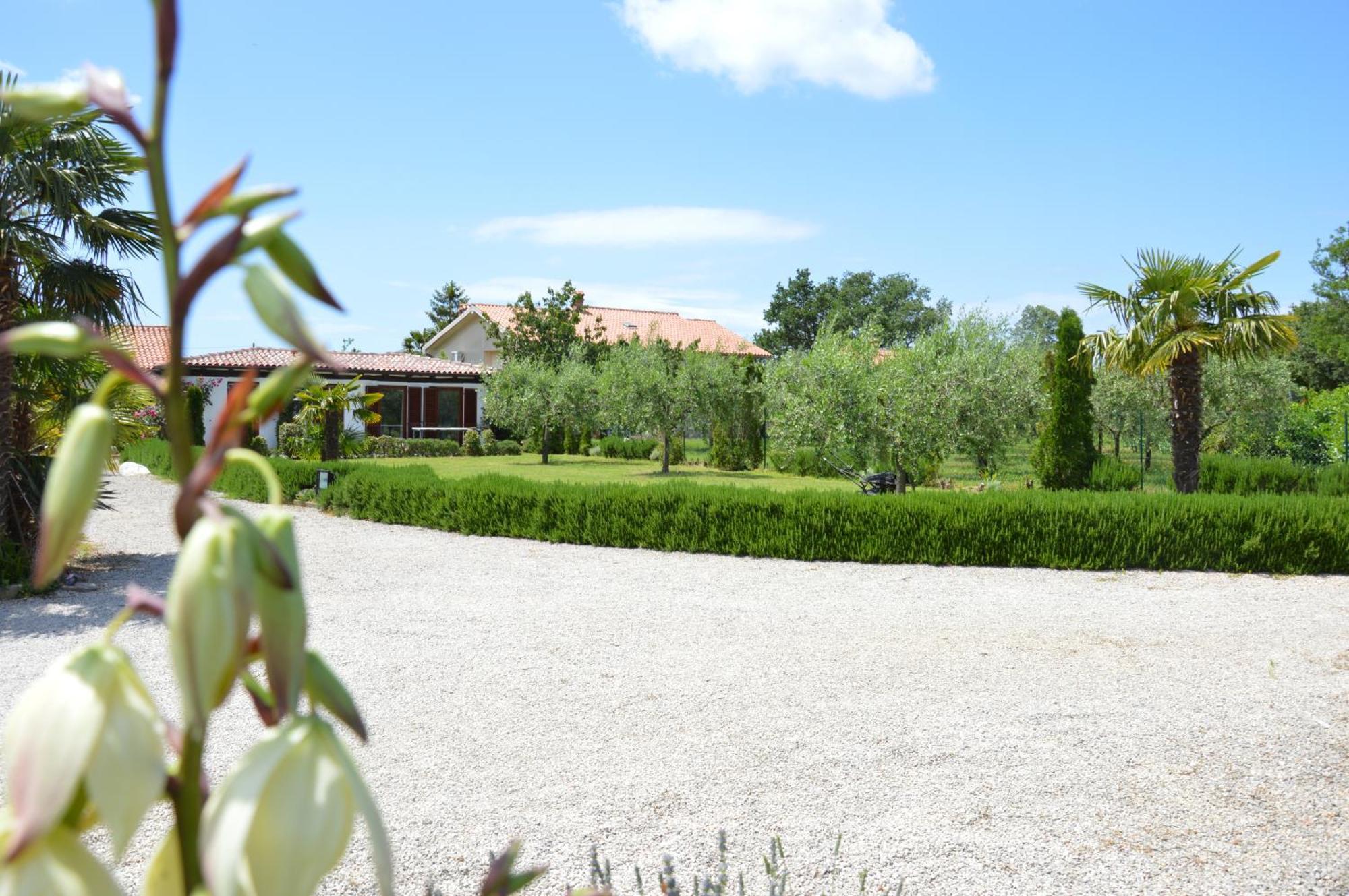 Apartments Aurelia Nova Vas  ภายนอก รูปภาพ